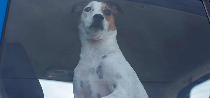 Car Lockout Solutions in Mountain House, California